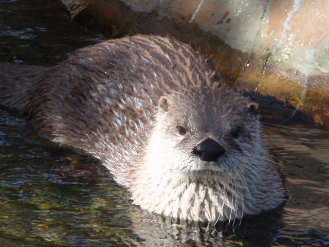 thePragueZOO 001