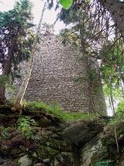 kunzvart2